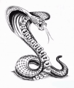 yılan tatoo